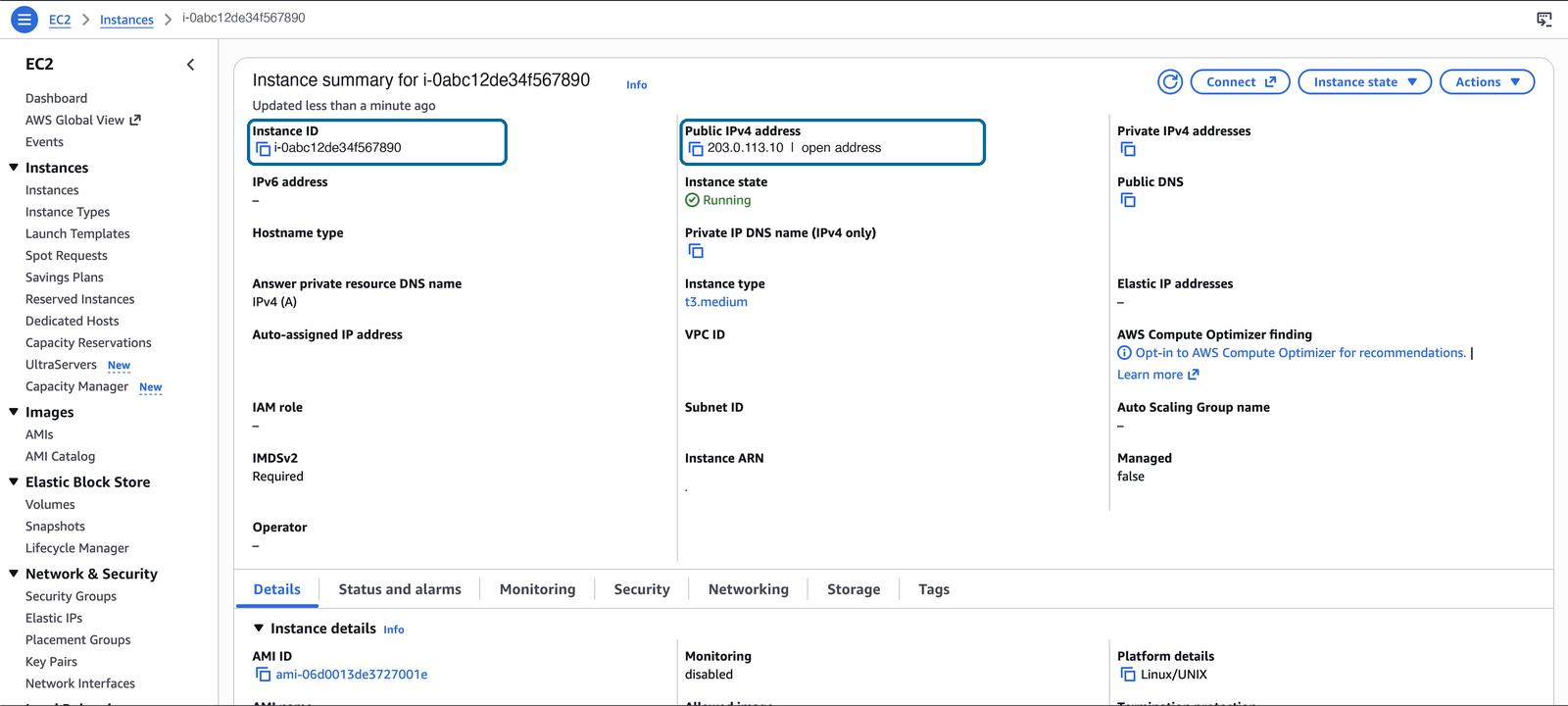 The instance details, with the address and ID highlighted